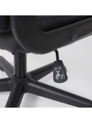 Кресло компьютерное AksHome Polo Eco черный тилт