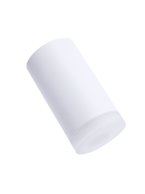 Точечный светильник truEnergy MODERN 21302 белый (12 Вт) под углом