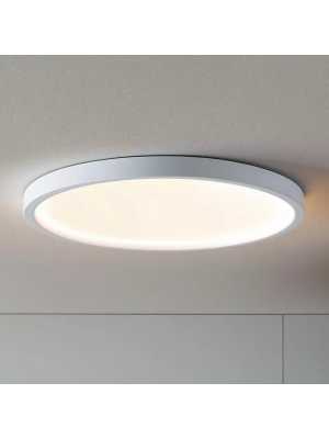 Потолочный светильник truEnergy LIGHT PREMIUM 10723 белый (18 Вт) в интерьере