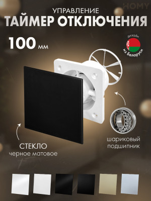 Вентилятор 100 тихий таймер черное стекло мат Dream100T-GBM