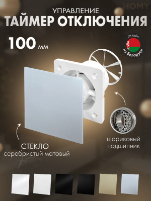 Вентилятор 100 таймер серебро мат клапан Dream100T-GSM-DK100