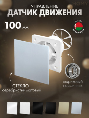 Вентилятор 100 движ серебро мат клапан Dream100M-GSM-DK100
