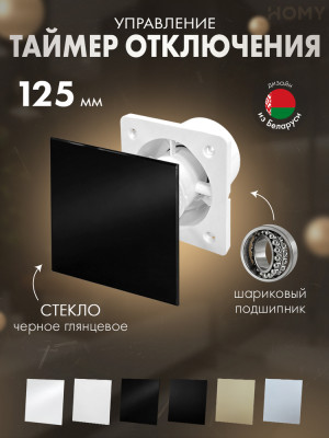 Вентилятор 125 тихий таймер черное стекло глян Dream125T-GBP