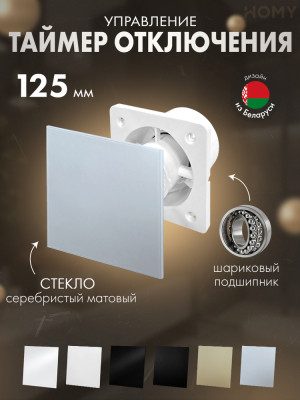 Вентилятор 125 тихий таймер серебро мат стекло Dream125T-GSM