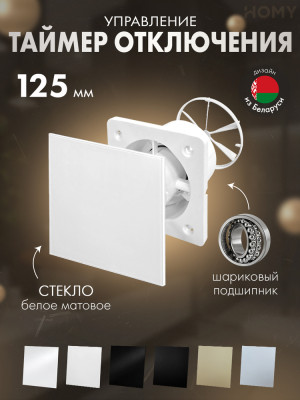 Вентилятор 125 таймер белый мат клапан Dream125T-GWM-DK125