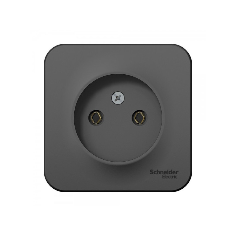 Розетка Schneider Electric Blanca BLNRA000116 антрацит
