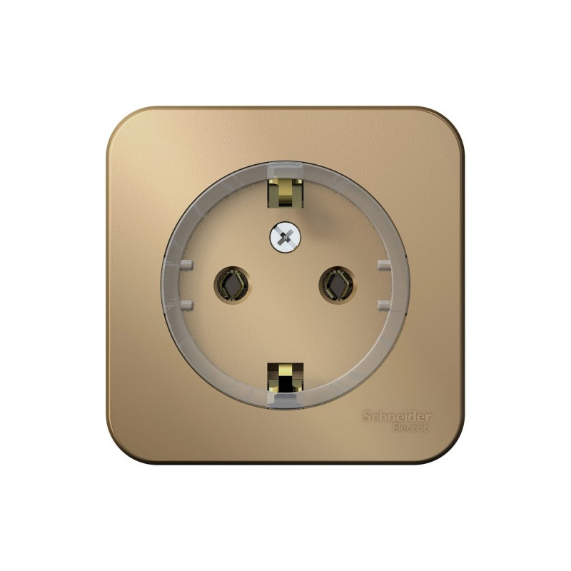 Розетка Schneider Electric Blanca BLNRA110114 титан
