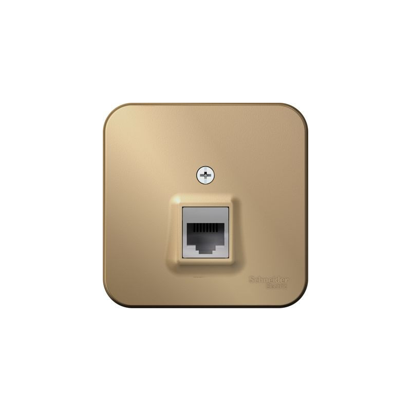 Розетка Schneider Electric Blanca BLNIA045004 титан вид спереди