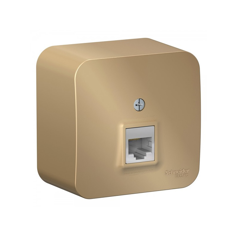 Розетка Schneider Electric Blanca BLNIA045004 титан