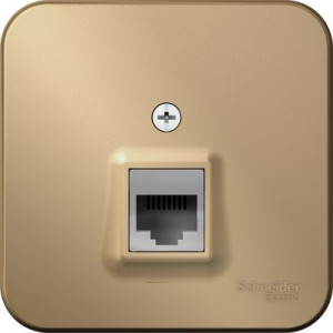 Розетка Schneider Electric Blanca BLNIA045004 титан вид спереди