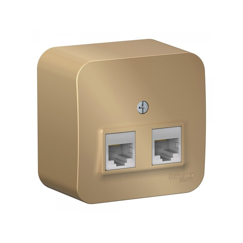 Розетка Schneider Electric Blanca BLNIA045454 титан