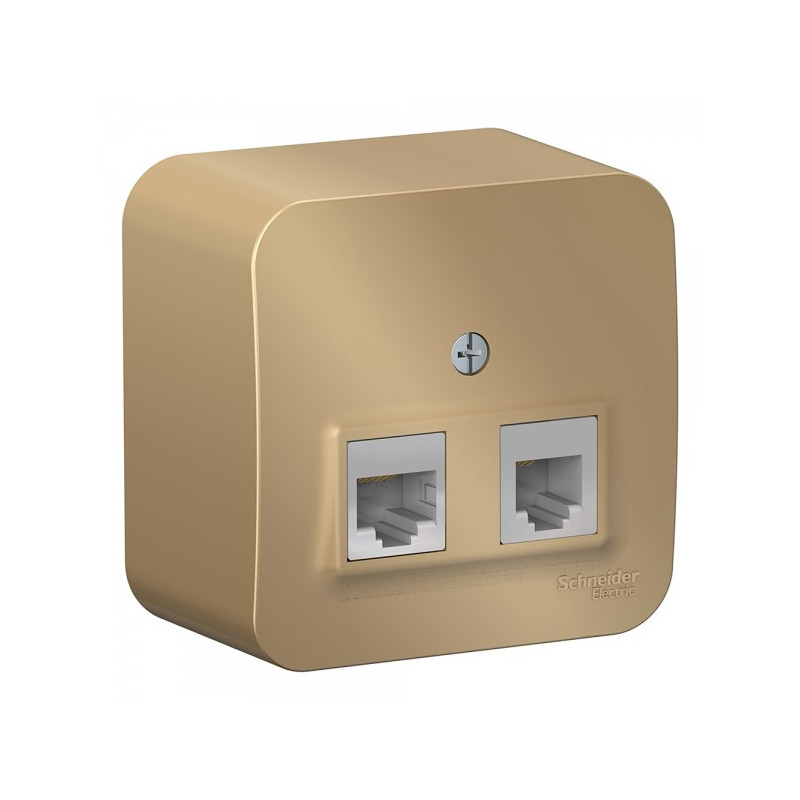 Розетка Schneider Electric Blanca BLNIA045114 титан