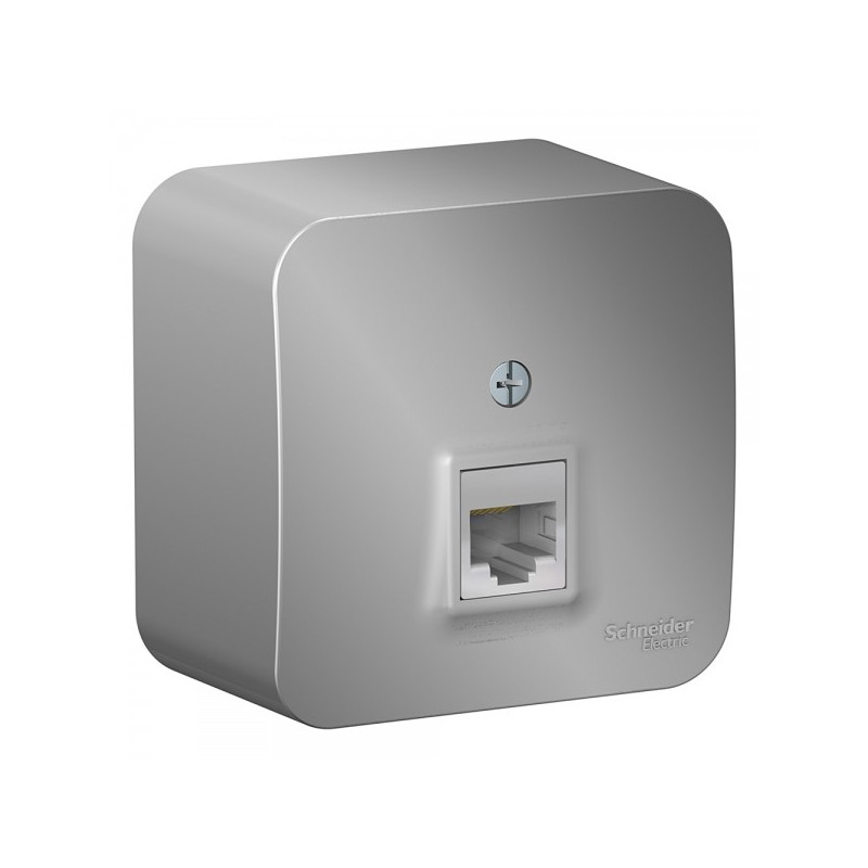 Розетка Schneider Electric Blanca BLNIA045003 алюминий