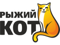 Рыжий кот